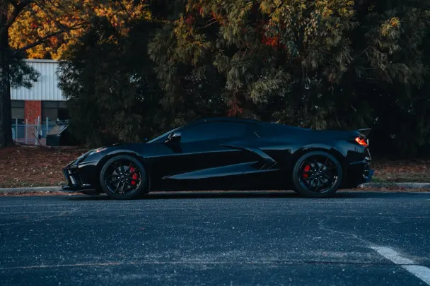 Casino Sticky Wilds App Android/iOS